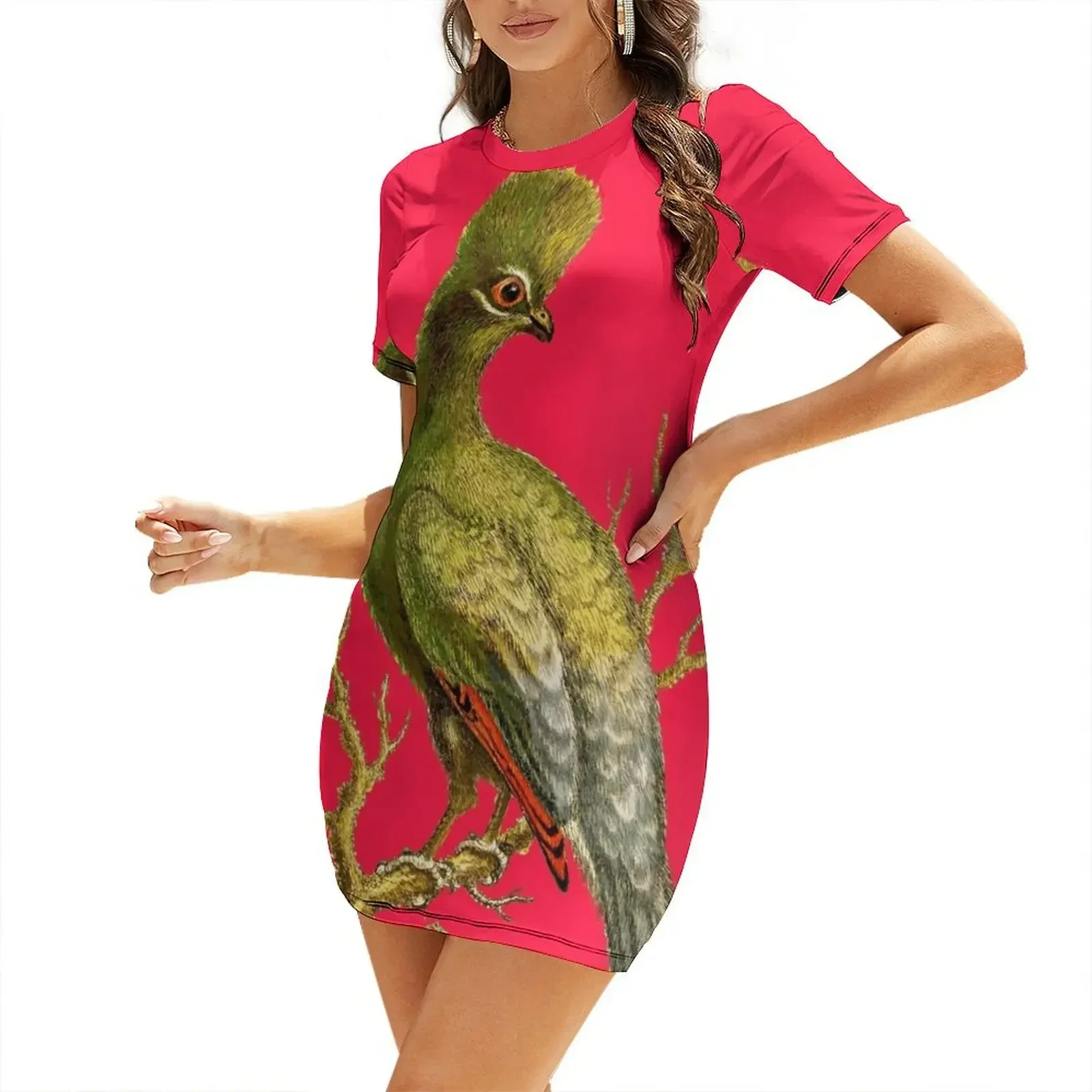 Women'S Fashion Dresses Images - Touraco - Imagem vintage de pássaro
